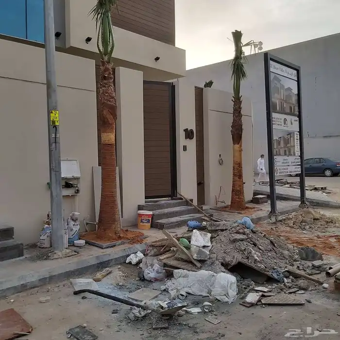 نخل واشنطن زينه امريكي 3