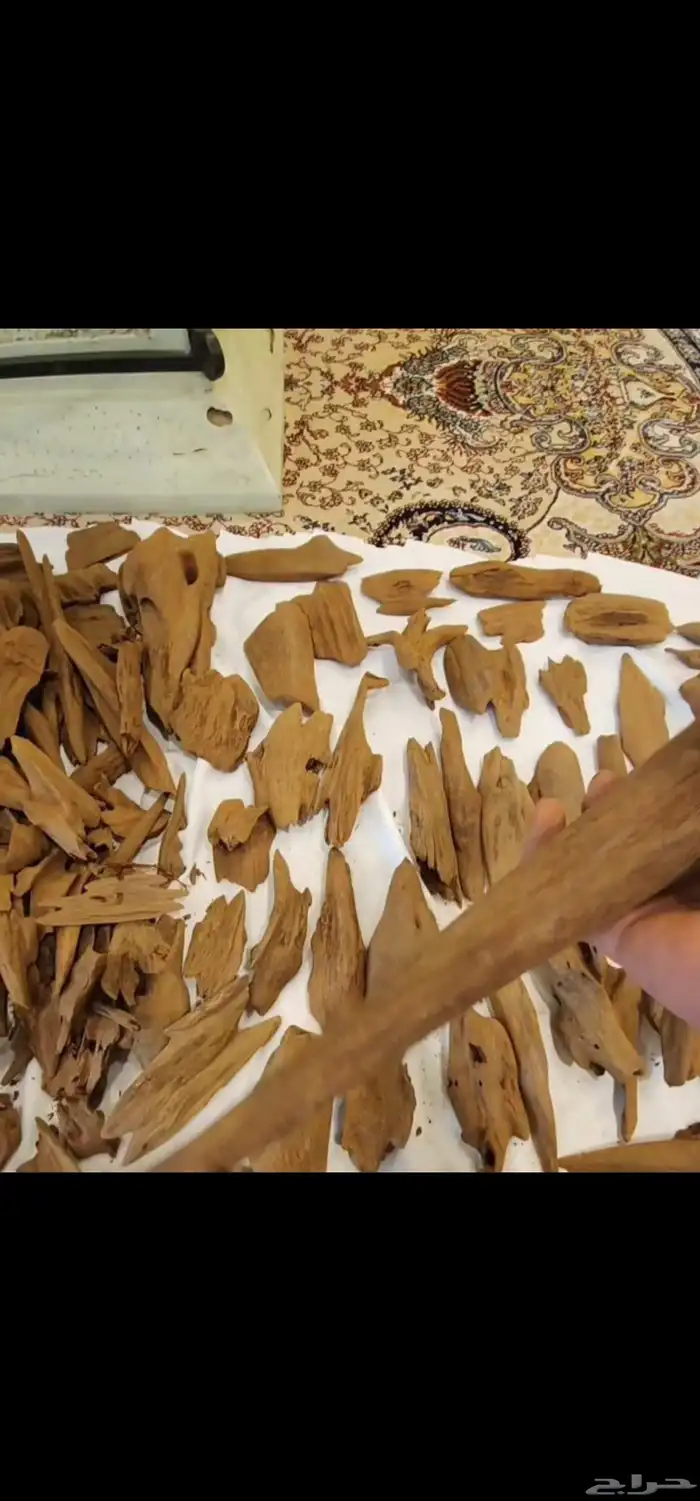 مروكي شابنتيكا تربل ودبل سوبر 2