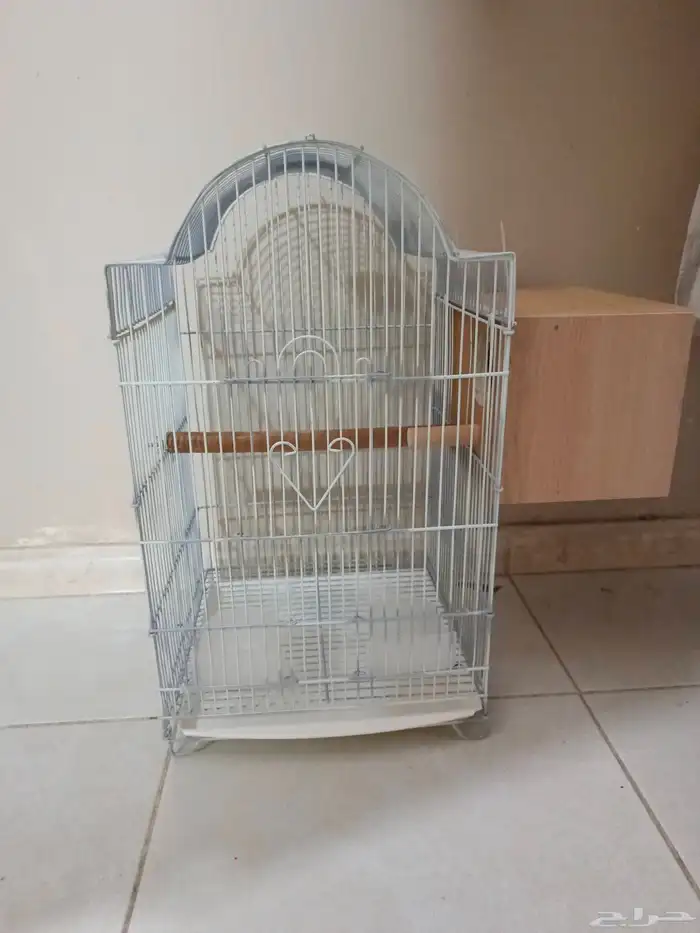 قفص ببغاء 0