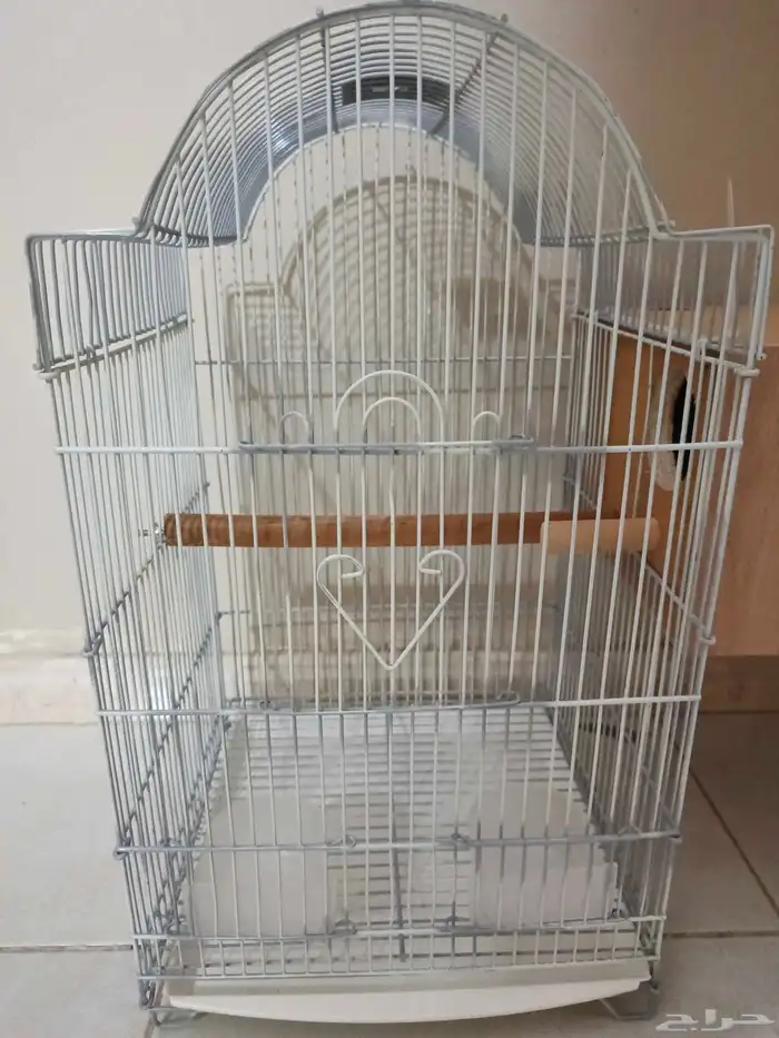 قفص ببغاء 1