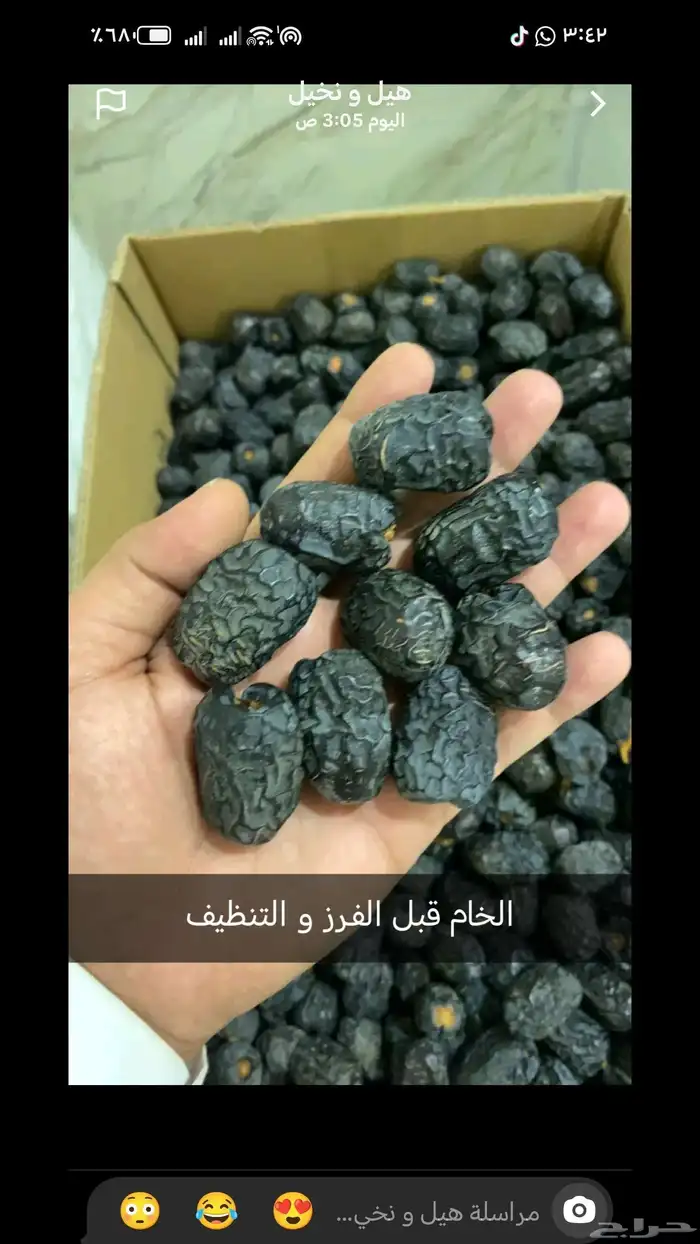 عجوة المدينة الفاخرة جامبو رقم (1) 4