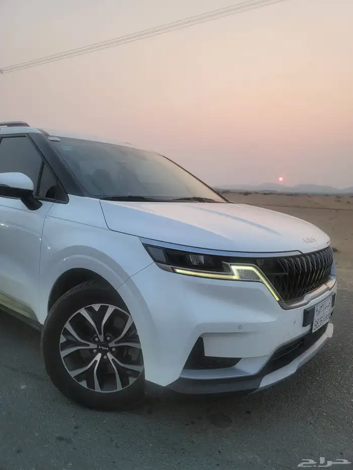 كارنفال 2022 بودي وكالة قمة النظافة كوري 5