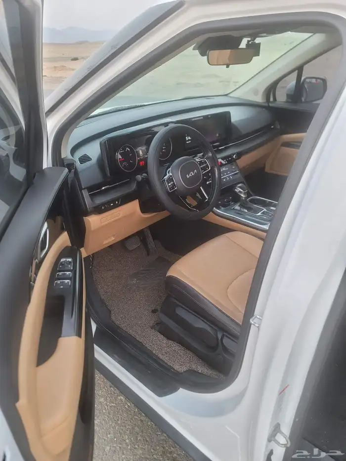 كارنفال 2022 بودي وكالة قمة النظافة كوري 10