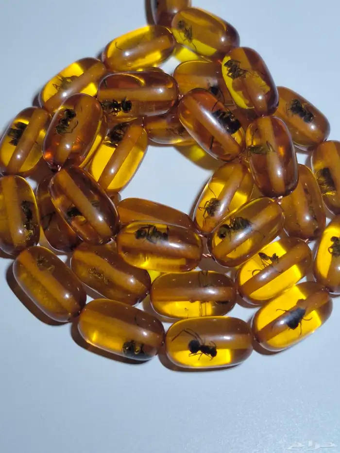 بكلايت محشر 5