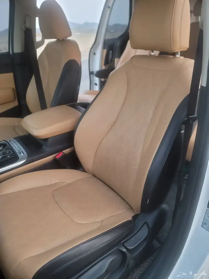 كارنفال 2022 بودي وكالة قمة النظافة كوري 20