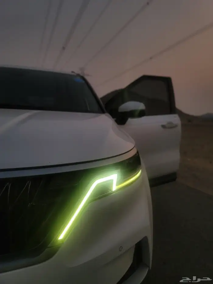 كارنفال 2022 بودي وكالة قمة النظافة كوري 41