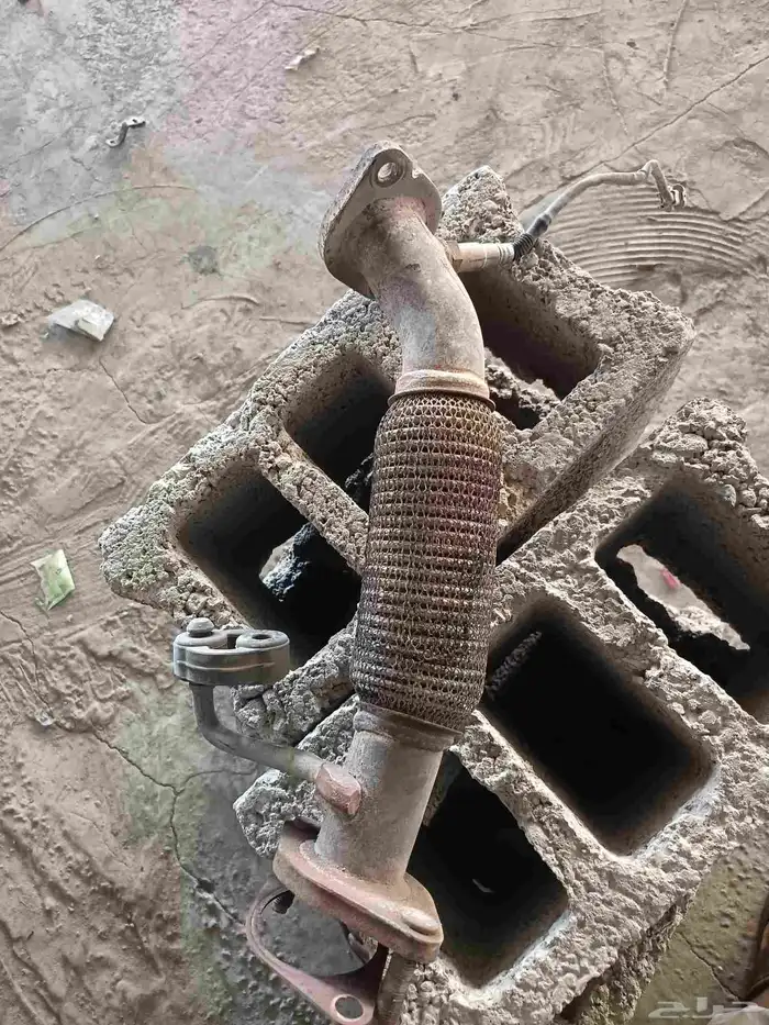 شكمان اكسنت 2020 1