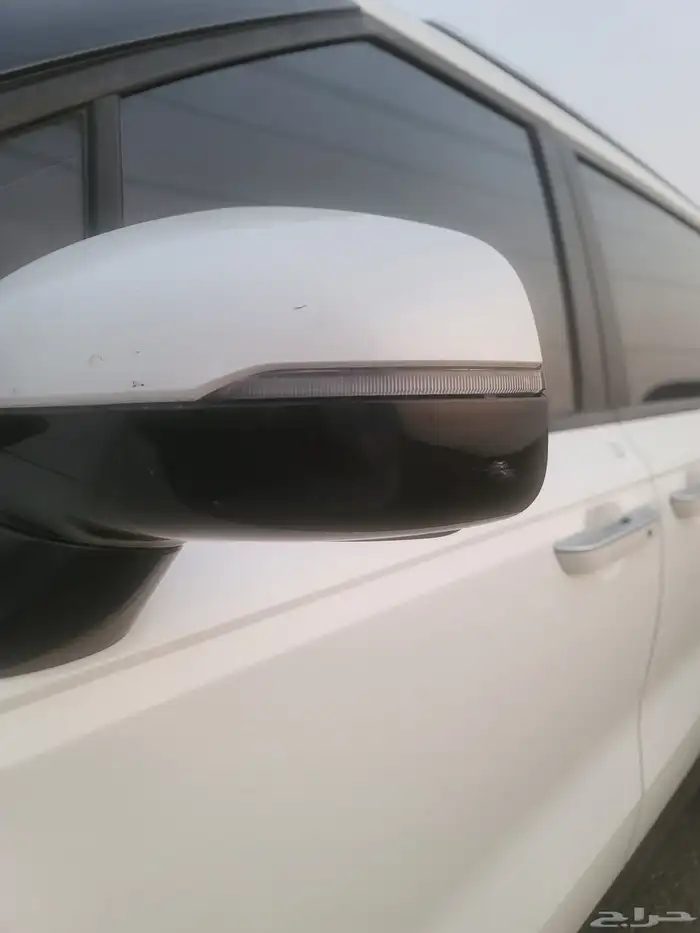 كارنفال 2022 بودي وكالة قمة النظافة كوري 37