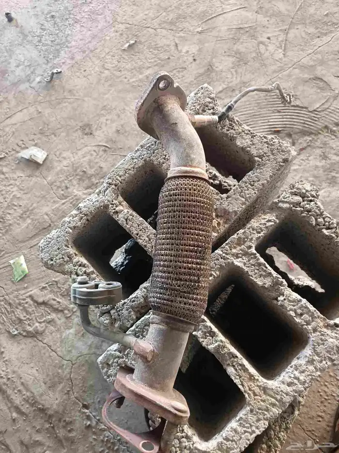 شكمان اكسنت 2020 0