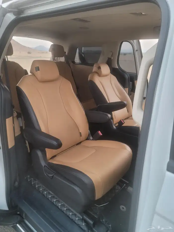 كارنفال 2022 بودي وكالة قمة النظافة كوري 12