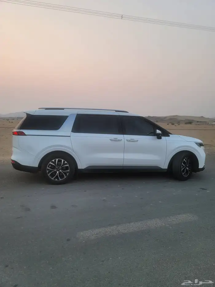 كارنفال 2022 بودي وكالة قمة النظافة كوري 6