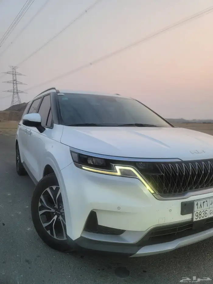 كارنفال 2022 بودي وكالة قمة النظافة كوري 3