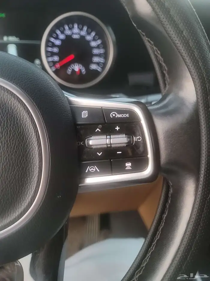 كارنفال 2022 بودي وكالة قمة النظافة كوري 33