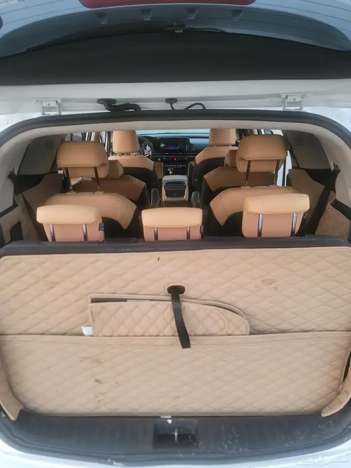 كارنفال 2022 بودي وكالة قمة النظافة كوري 17