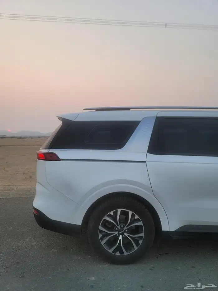 كارنفال 2022 بودي وكالة قمة النظافة كوري 14