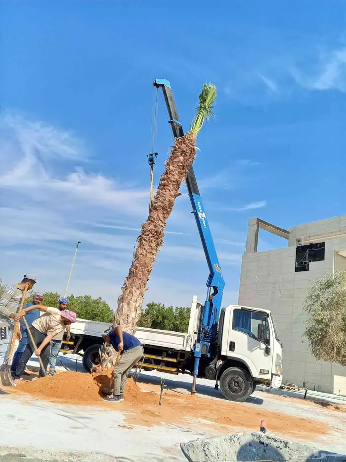 كرين ثلاثه طن الشراقيه اتصل نصل 0