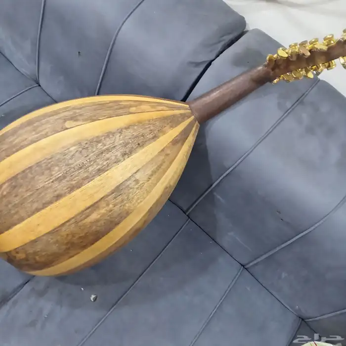 عود بحريني ممتاز صوت رنين 2