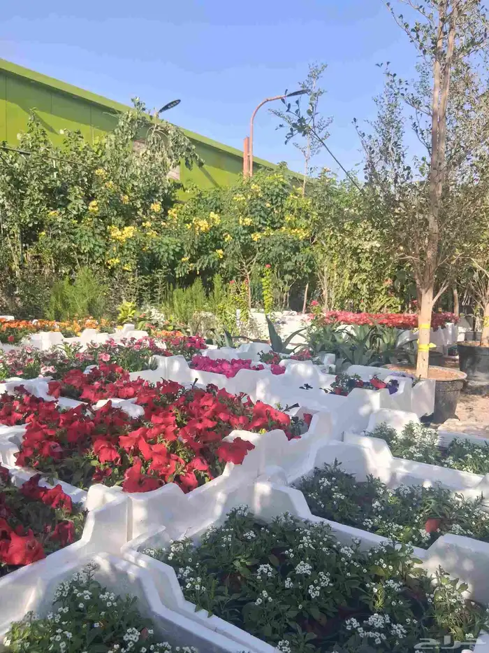 تنسيق حدائق 0