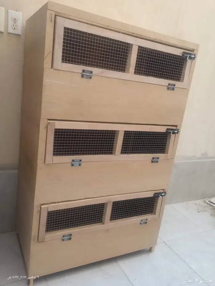 حضانة صيصان 0