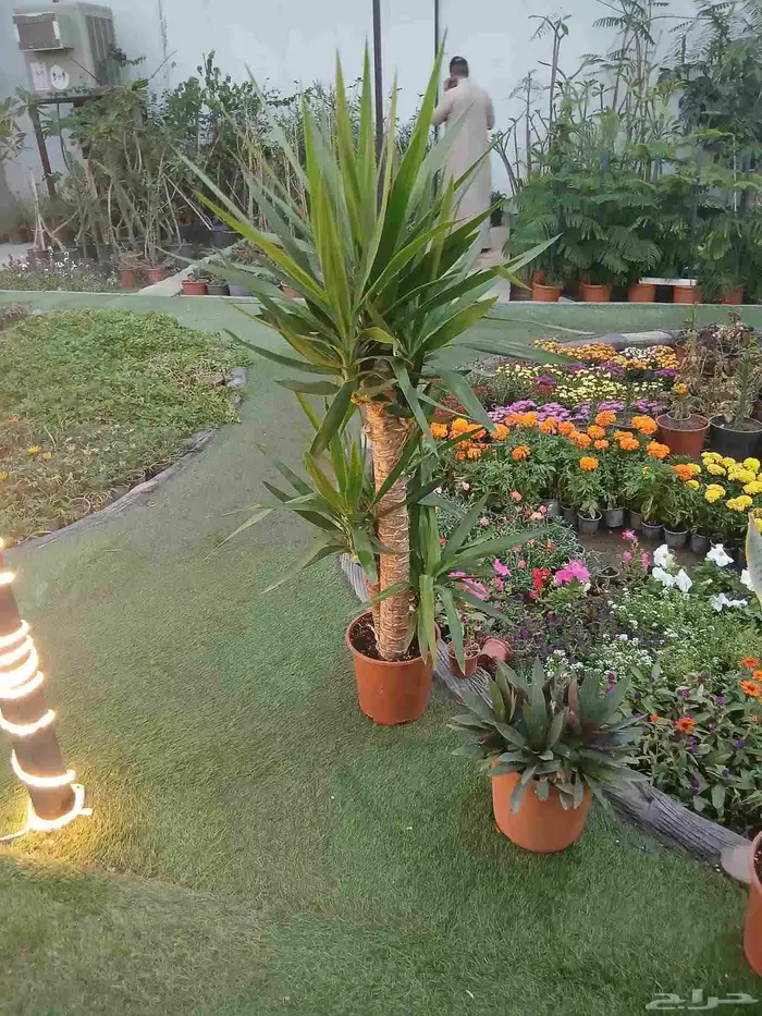 زرع طبيعى وصناعى 2