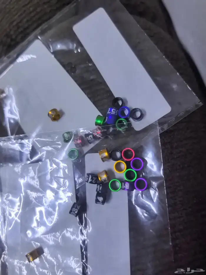 حجول لفروخ طيور البادجي و بلابل 0