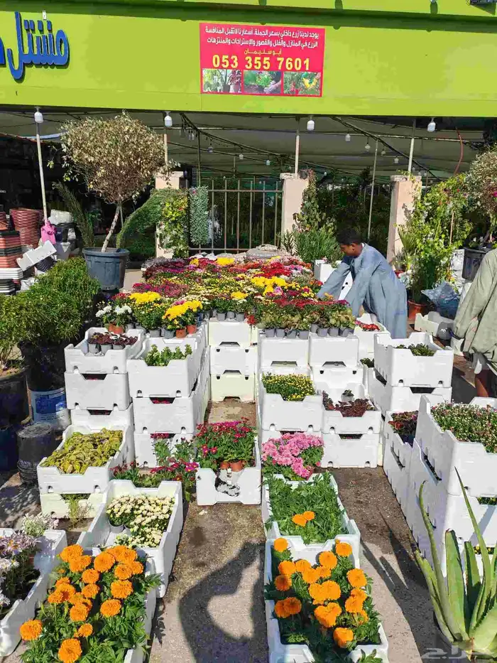 مشتل زراع طبيعي 2