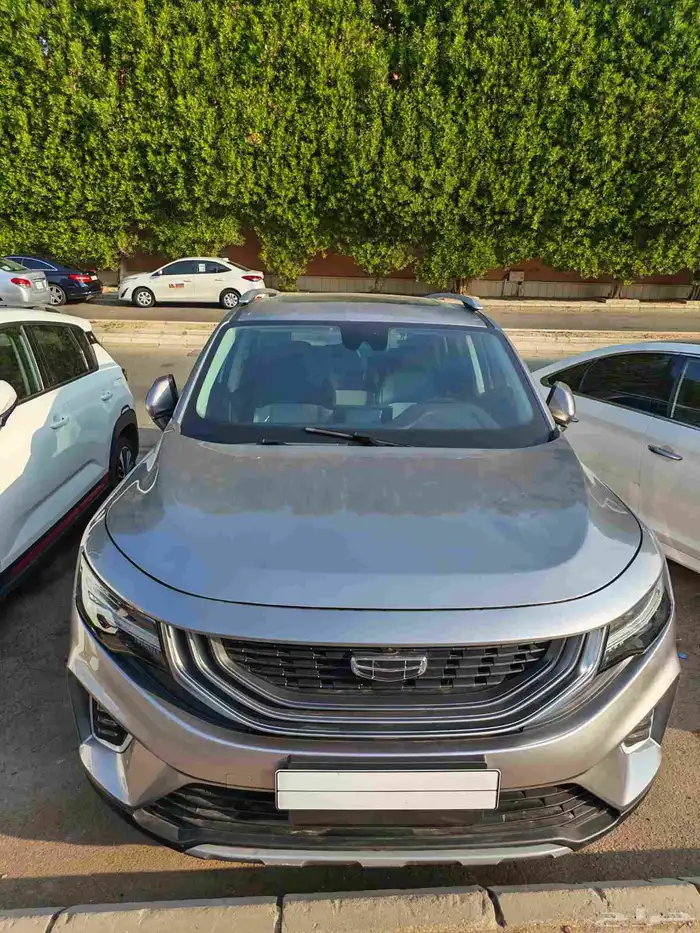 جيلي اوكافانجو 2022 0