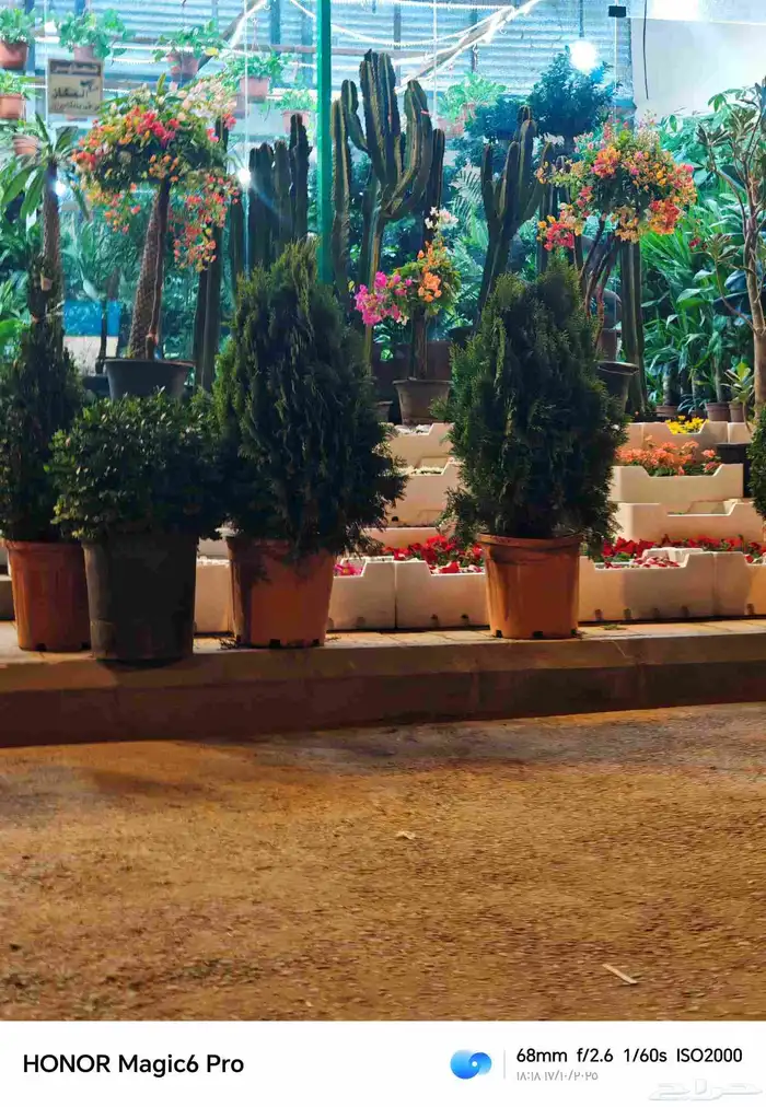 الزراعة الثيل الطبيعي وتركيب شبكات الري العادي والاتوماتيك 8