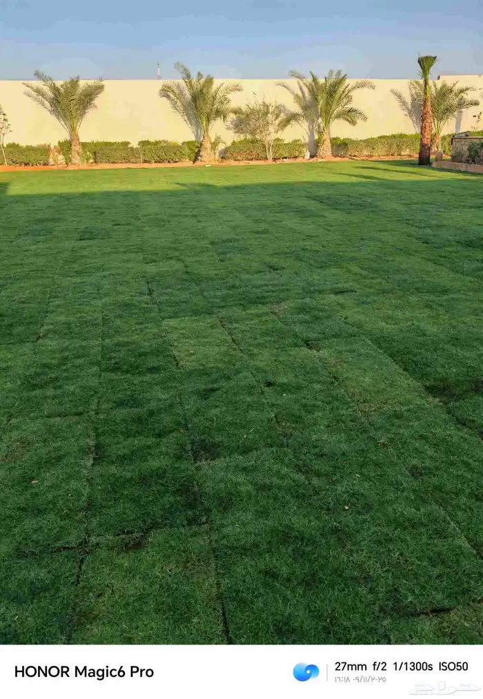 الزراعة الثيل الطبيعي وتركيب شبكات الري العادي والاتوماتيك 0