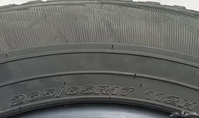 كفرين فلشنر 17 65 265 1