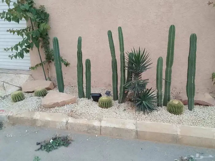 منسق حدائق وتركيب جميع شبكات الري العادي والاتمتك 6