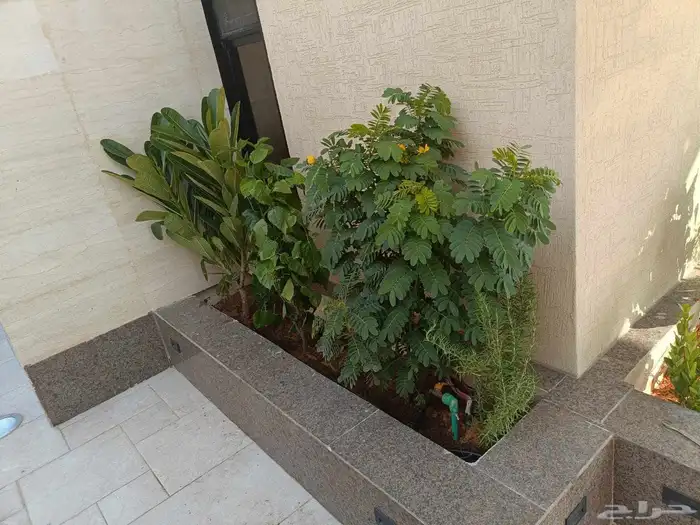 مشتل تنسيق الحدائق 5