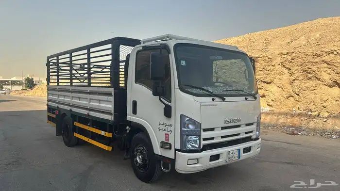 دينه ايسوزو مديل 2013 0