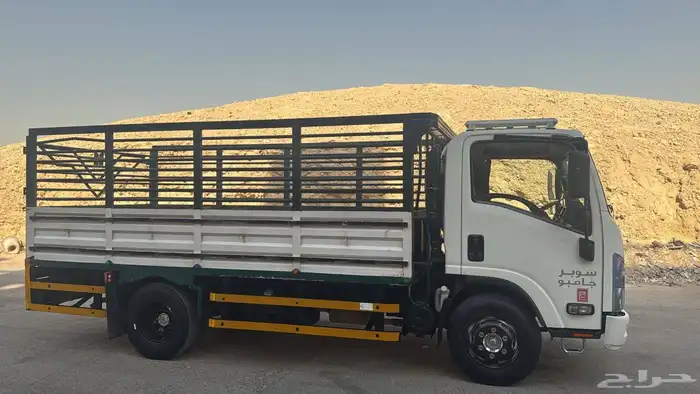 دينه ايسوزو مديل 2013 3