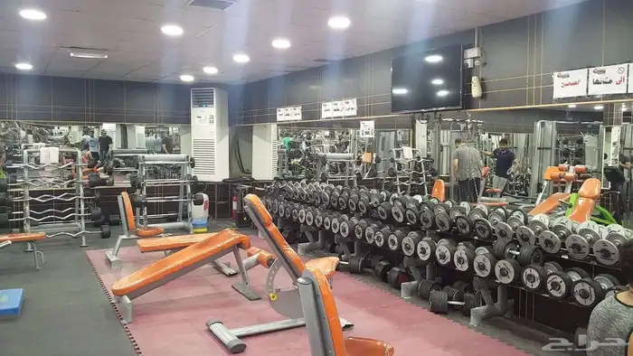 صاله استاد القوة الهفوف 0