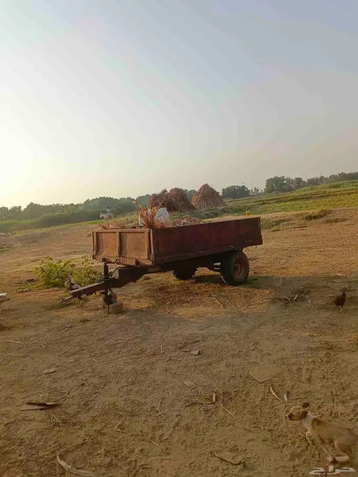 حراثة 390 MASSEY - FERGUSON 3