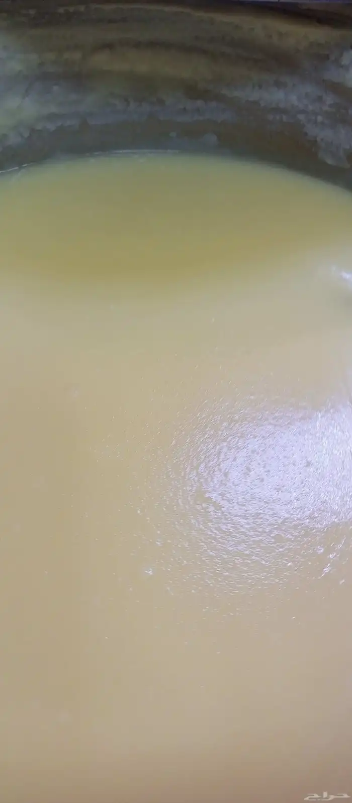 مضير سمن غنم 0