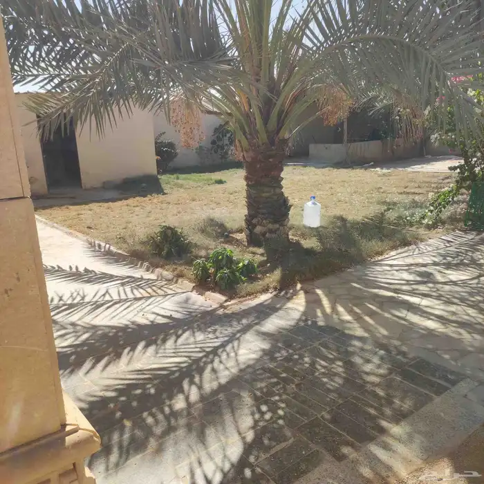 شاليه للايجار 0