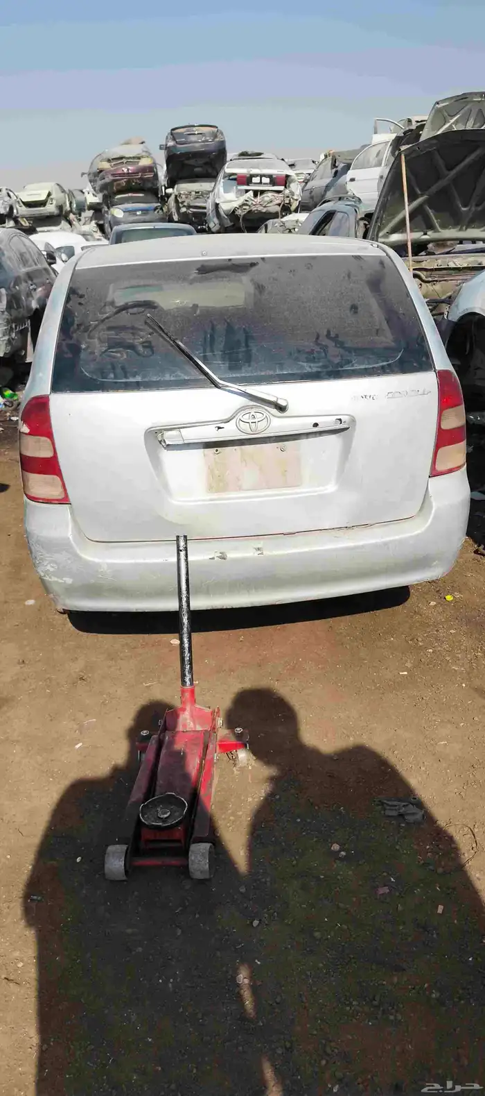 كوريلا بوكس تشليح 0