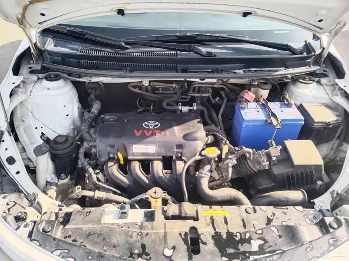 يارس 2016 تماتيك بودي وكالة 11