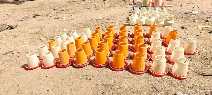 سقايات عياشات طيور للبيع 7