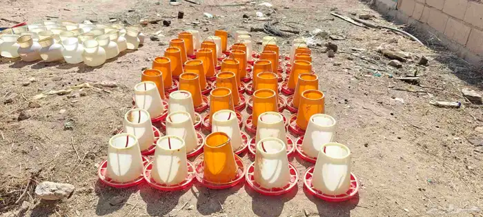 سقايات عياشات طيور للبيع 4