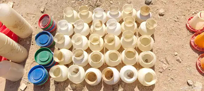 سقايات عياشات طيور للبيع 1