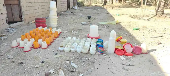 سقايات عياشات طيور للبيع 0