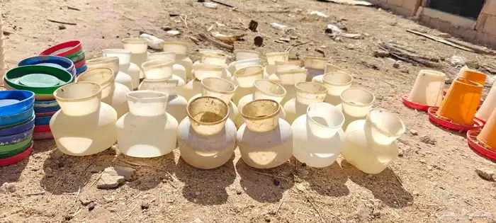 سقايات عياشات طيور للبيع 6