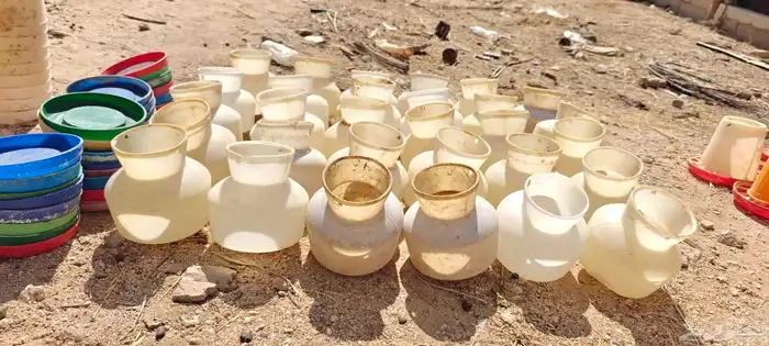 سقايات عياشات طيور للبيع 5