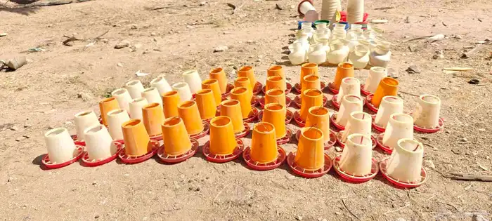 سقايات عياشات طيور للبيع 3