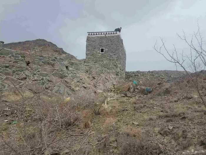 معلم حجر وربراب وقص حجر 2