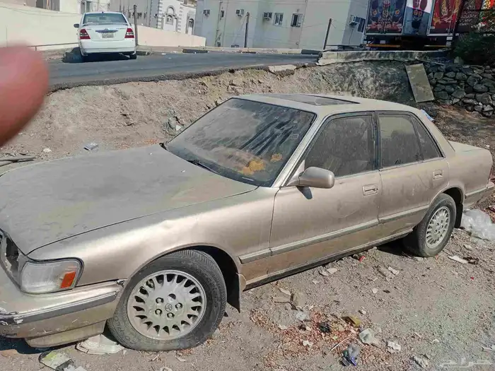 كرسيدا قراندي أمريكي 5