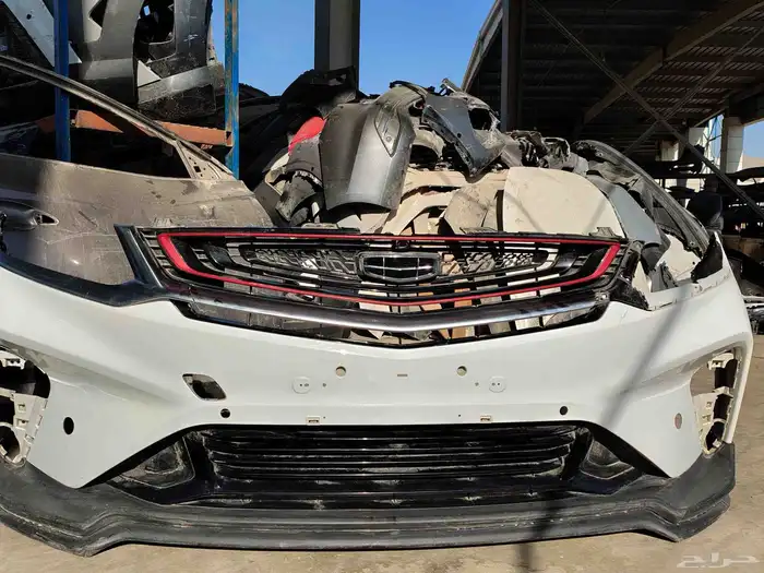 صدام امامي كلوراي 2023 0